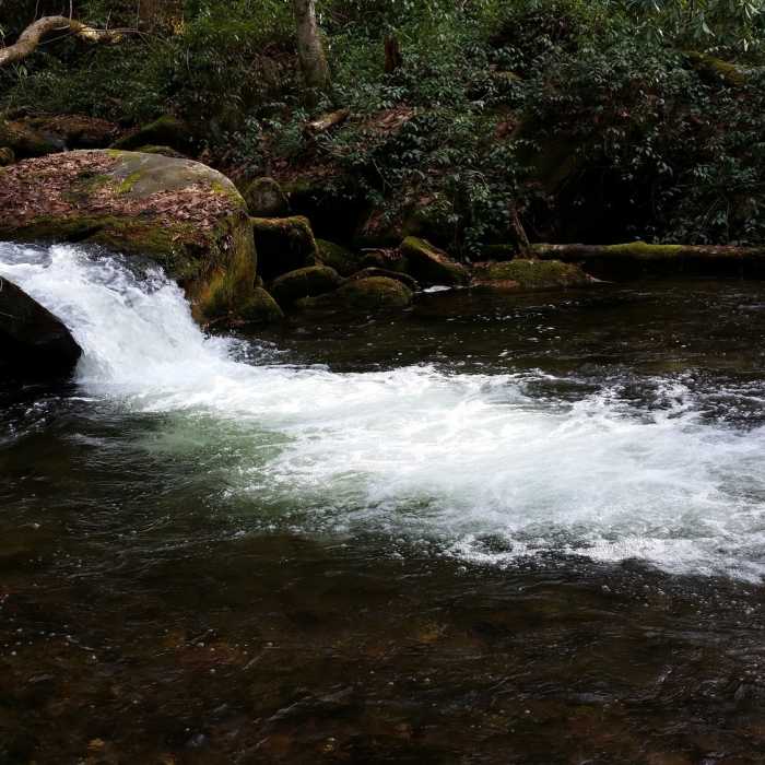 Beautiful view of Hazel Creek dumping into a large pool. Near Hazel Creek Trail