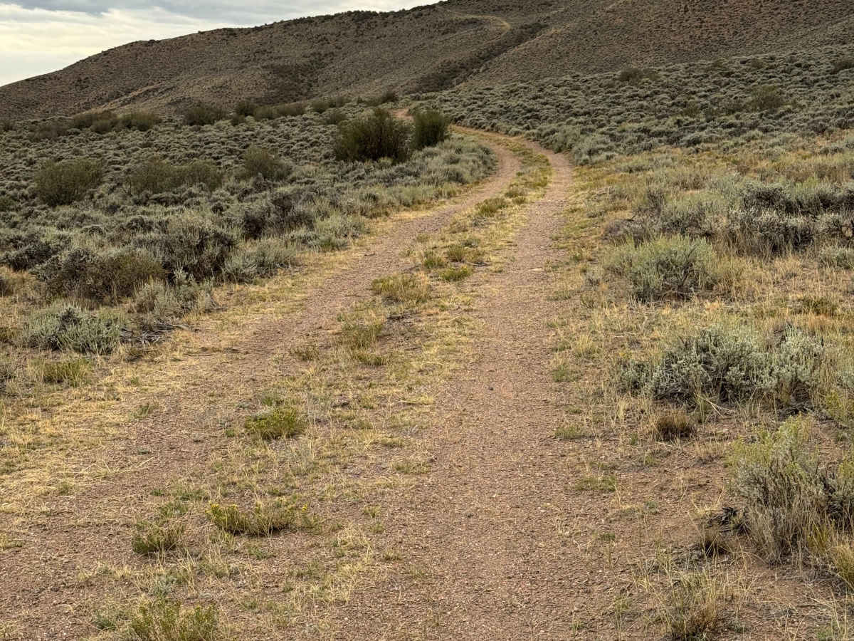 High Road photo 6