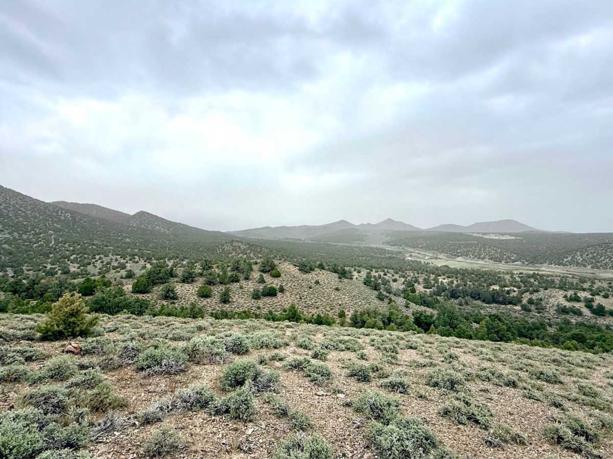 Lowboy Mine Spur A - FS 43251A photo 5