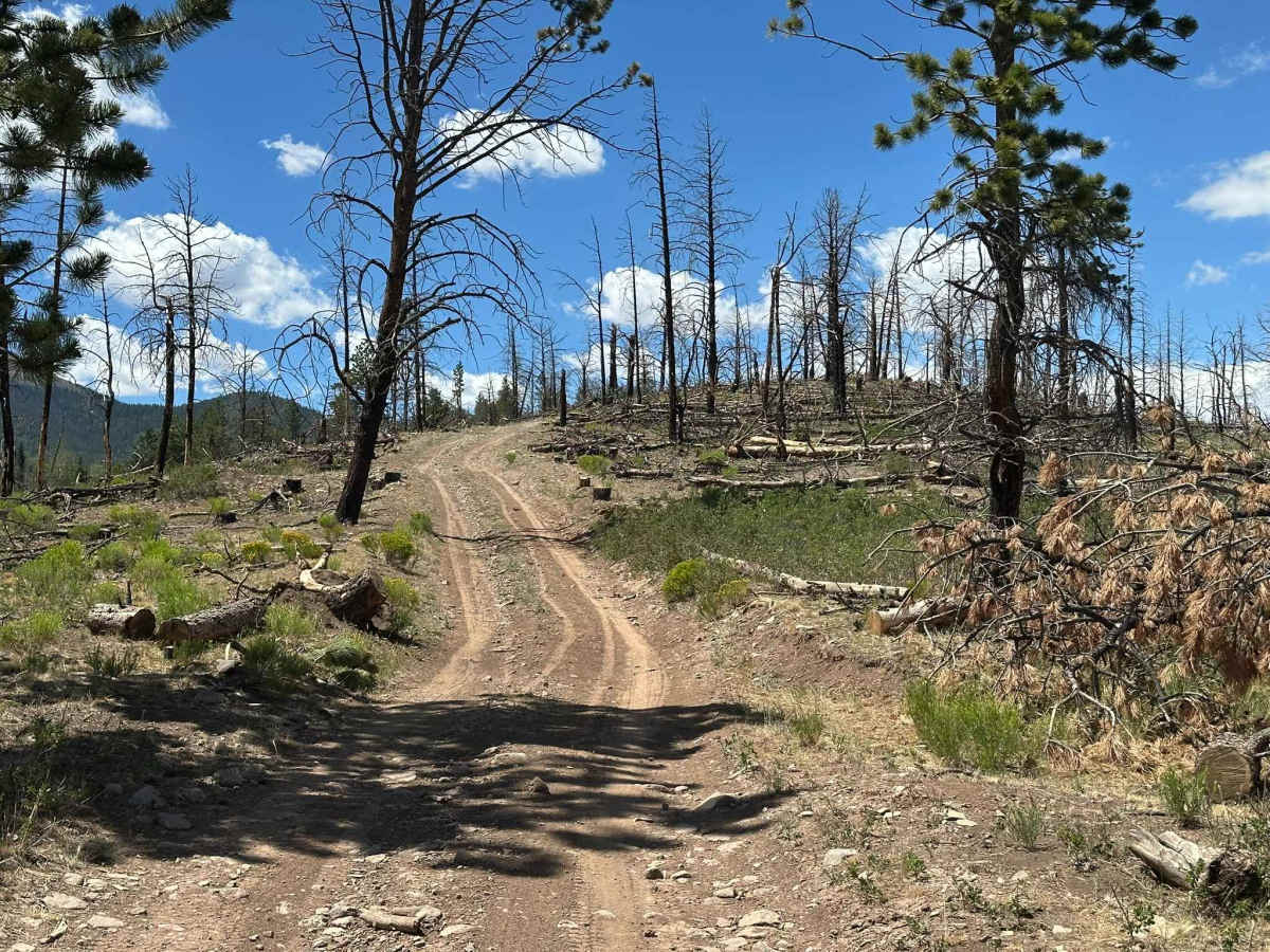 Pony Creek Road photo 4