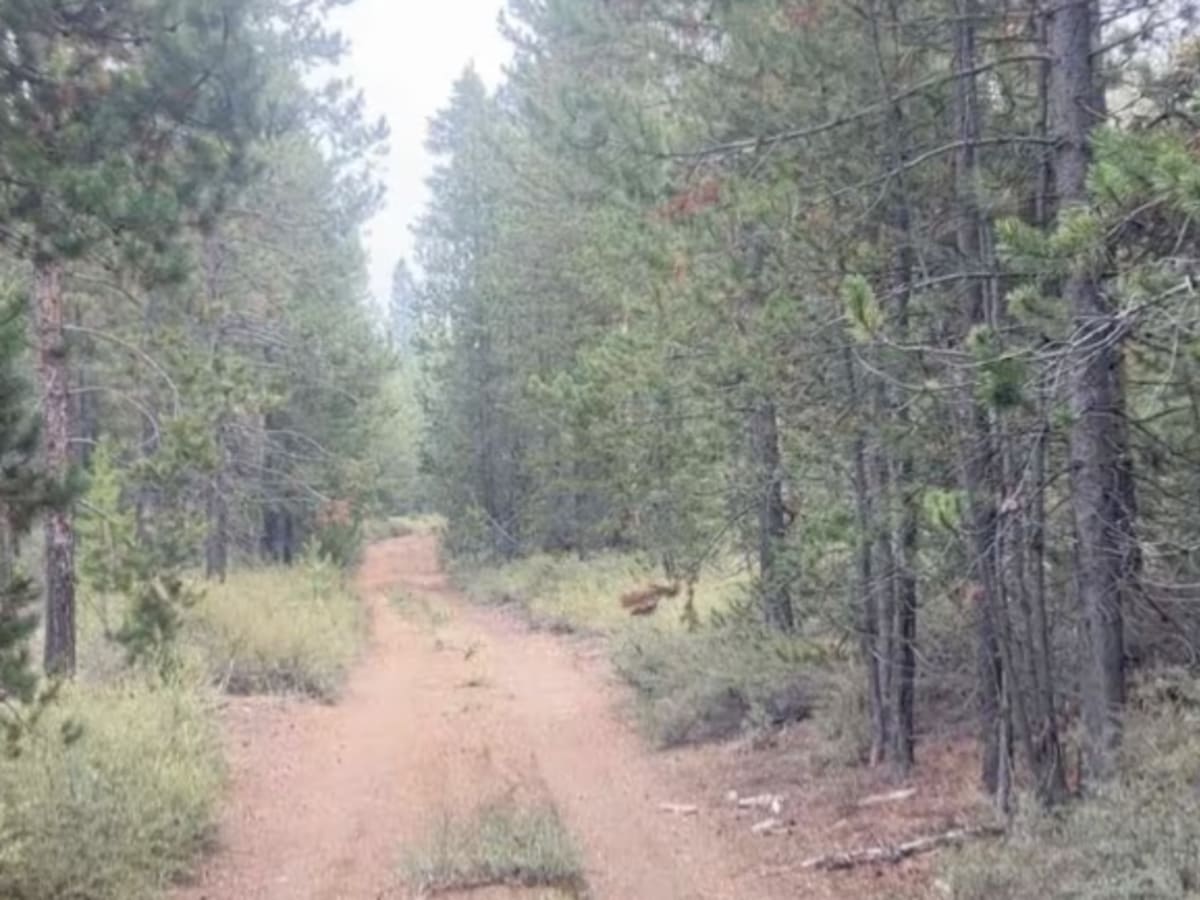 Fuzztail Butte Trail photo 4