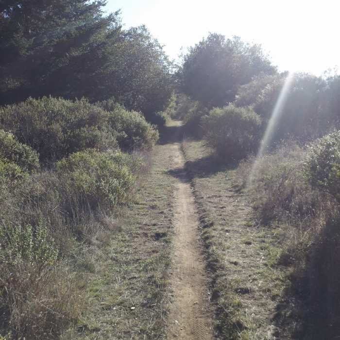 Near Bolinas Ridge