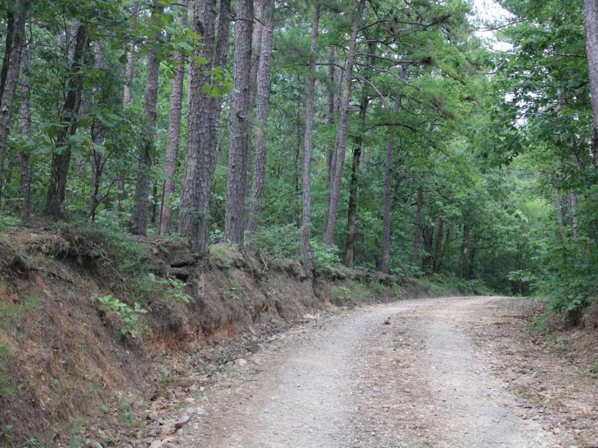 Exit to Tabor Mountain Road trail photo