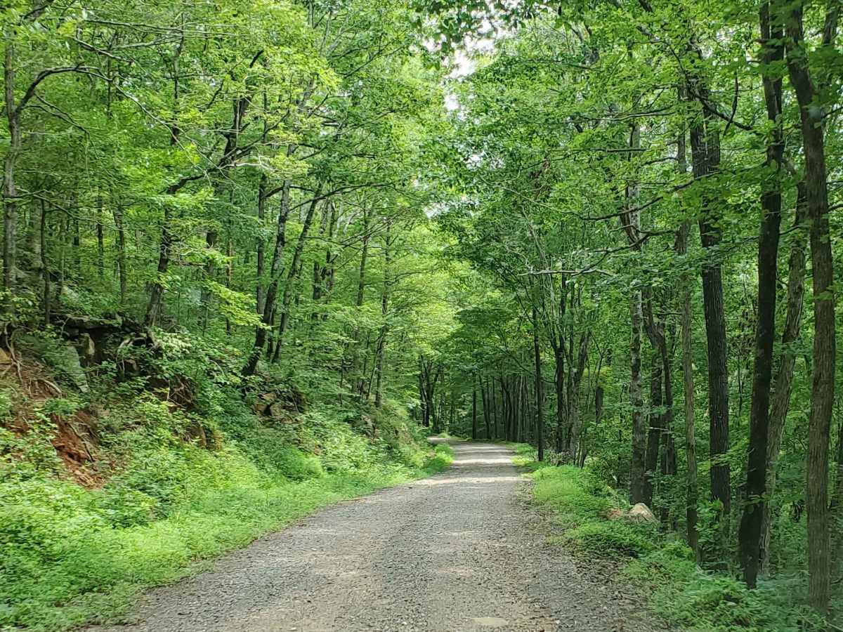 Prison Fence Trail trail photo