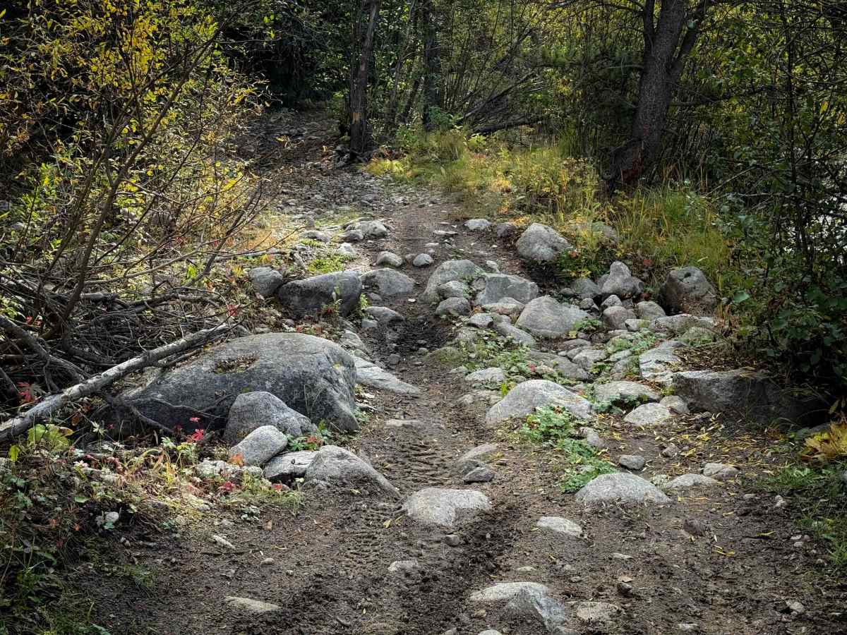 Middle Quartz Trail - FS 622  photo 2