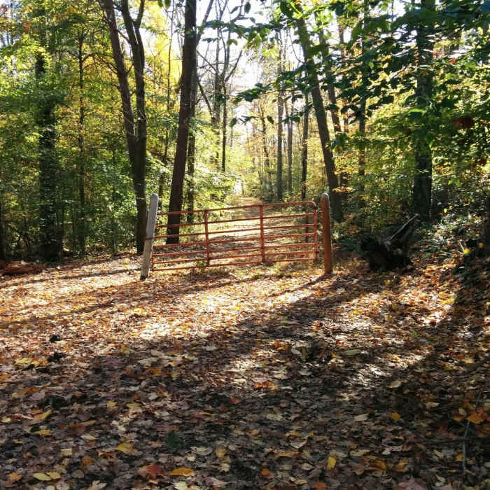 Gate on Tree Lane Trail next to junction with Tree Hills Trail. Near Route 666