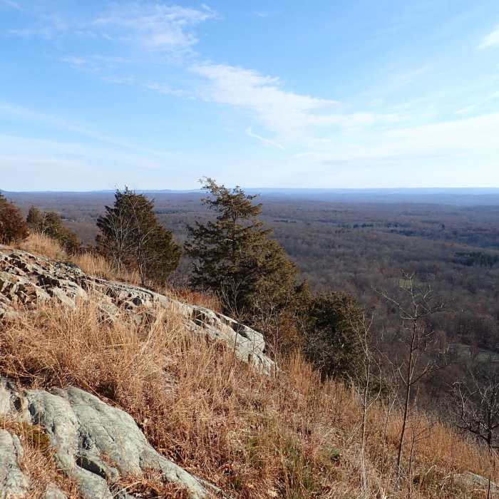 Near Appalachian Trail - Skyline to Catfish Pond Gap Near Appalachian Trail - Skyline to Catfish Pond Gap