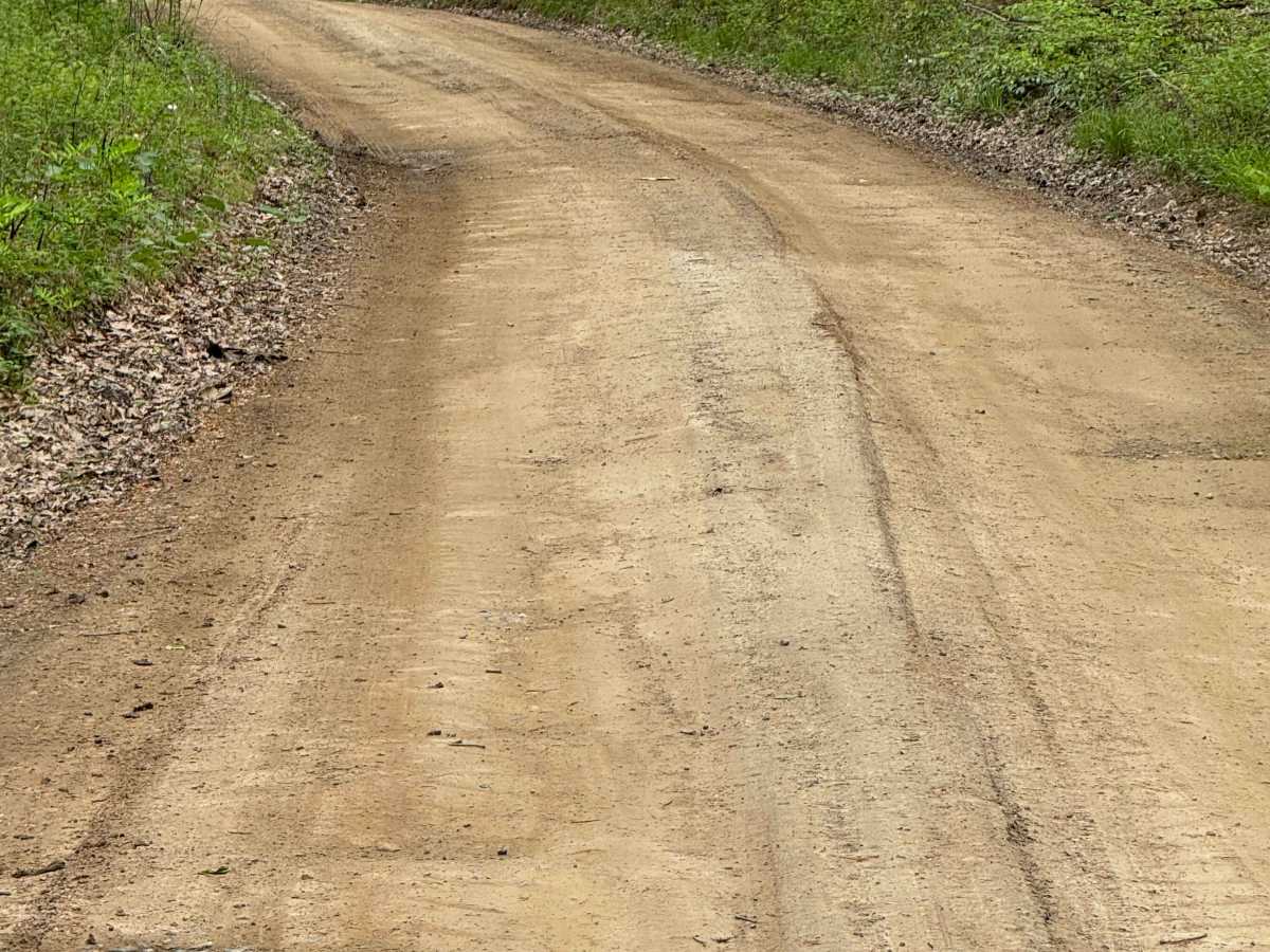 Whitman Road photo 4