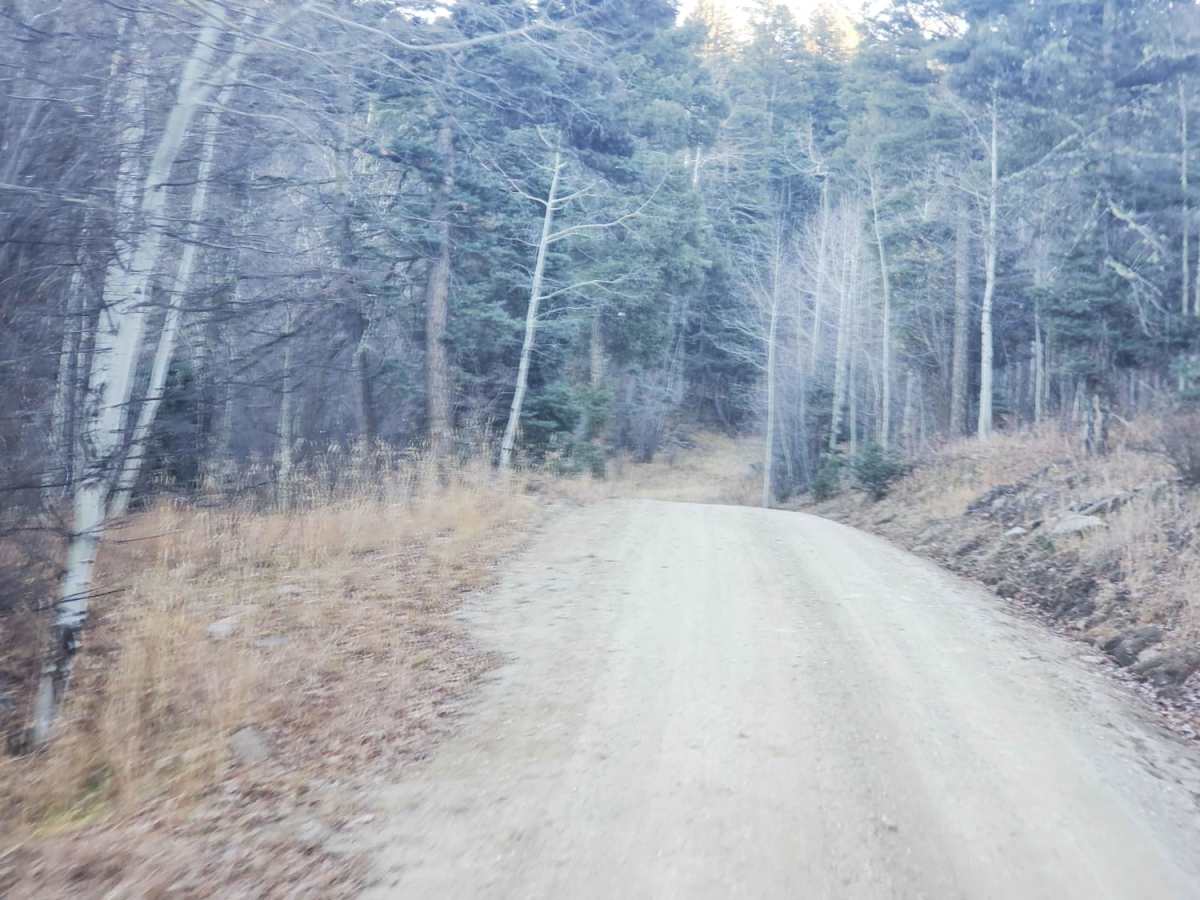 Osha Pass/70b photo 5