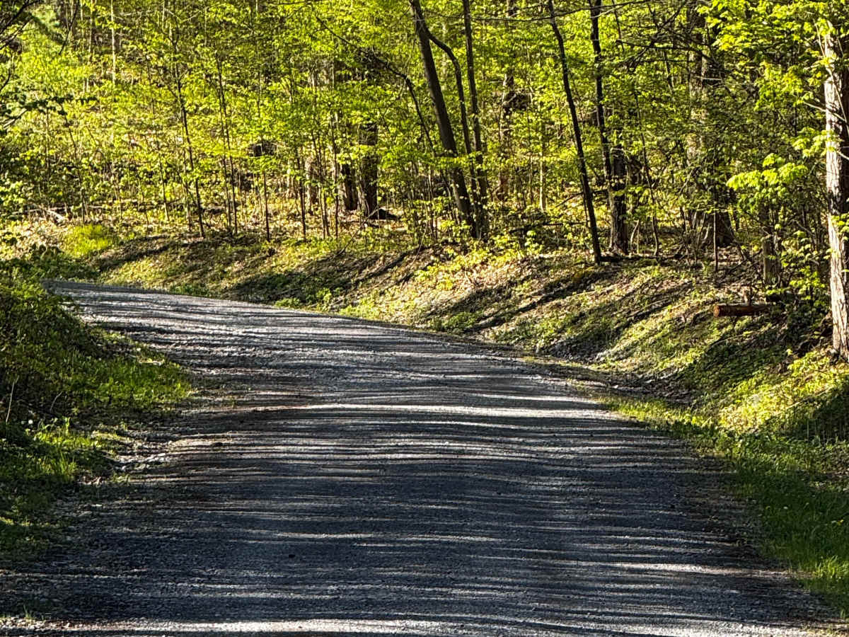 Weiss Grade Road photo 3
