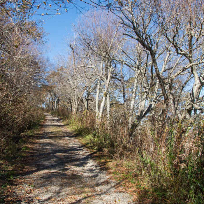 Near Frying Pan Lookout Tower Near Frying Pan Lookout Tower