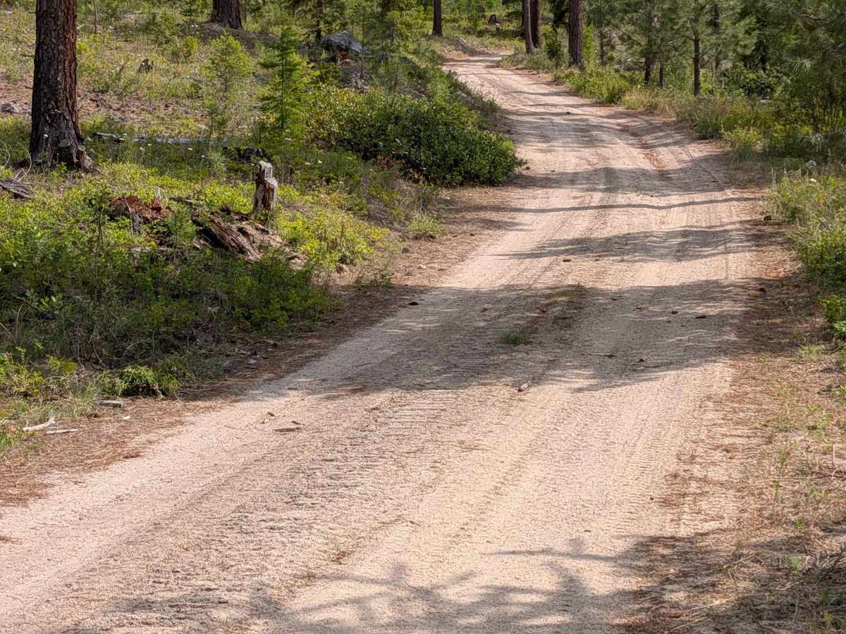 Golden Rule Road photo 3