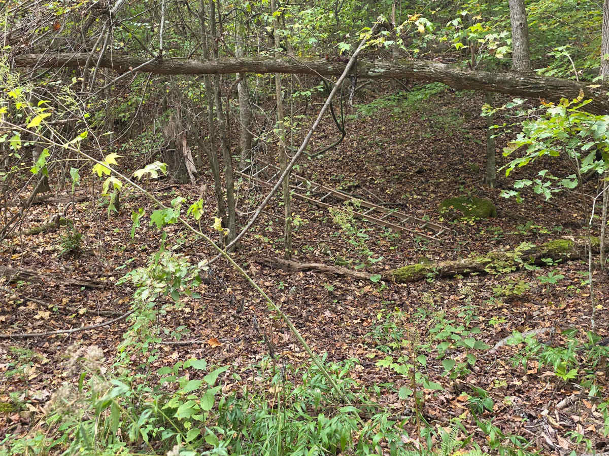 Pounder's Place photo 3