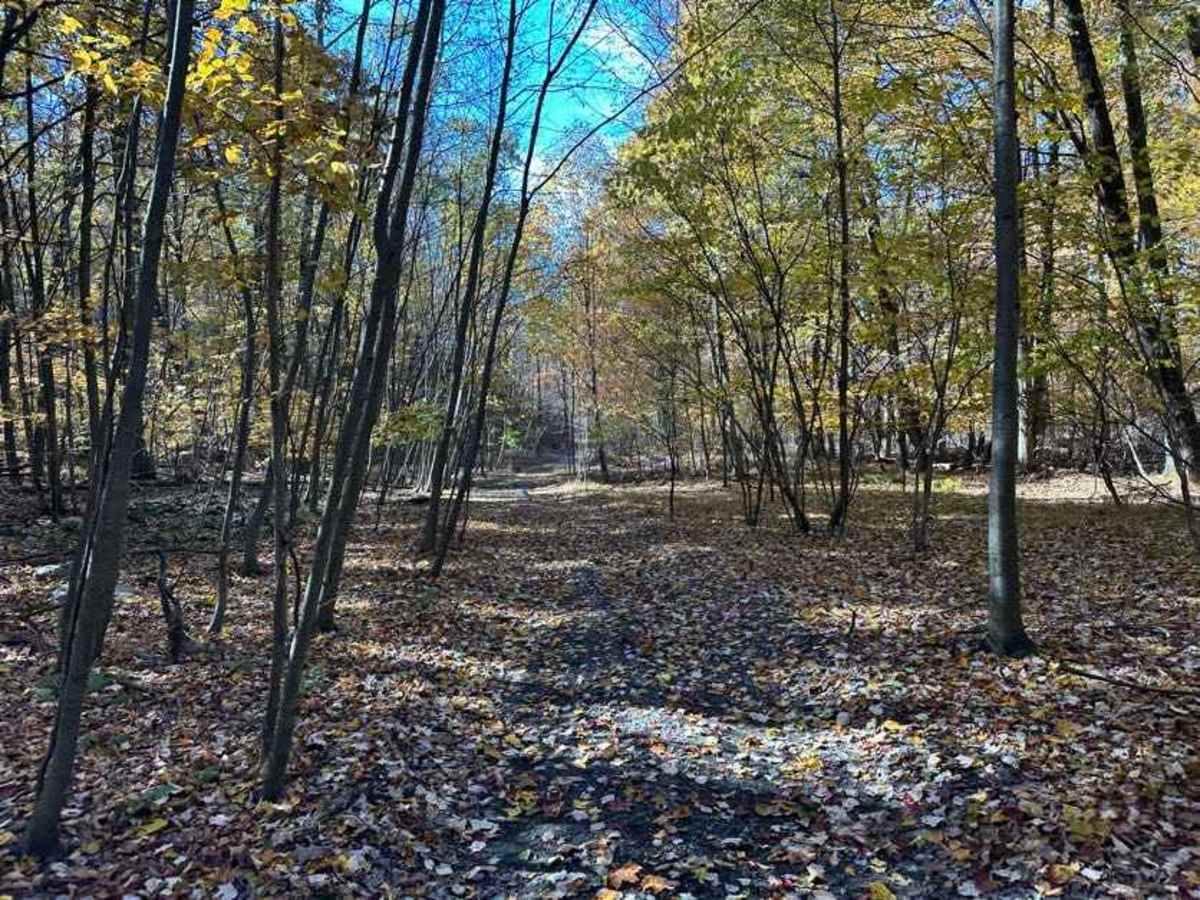 104 trail photo