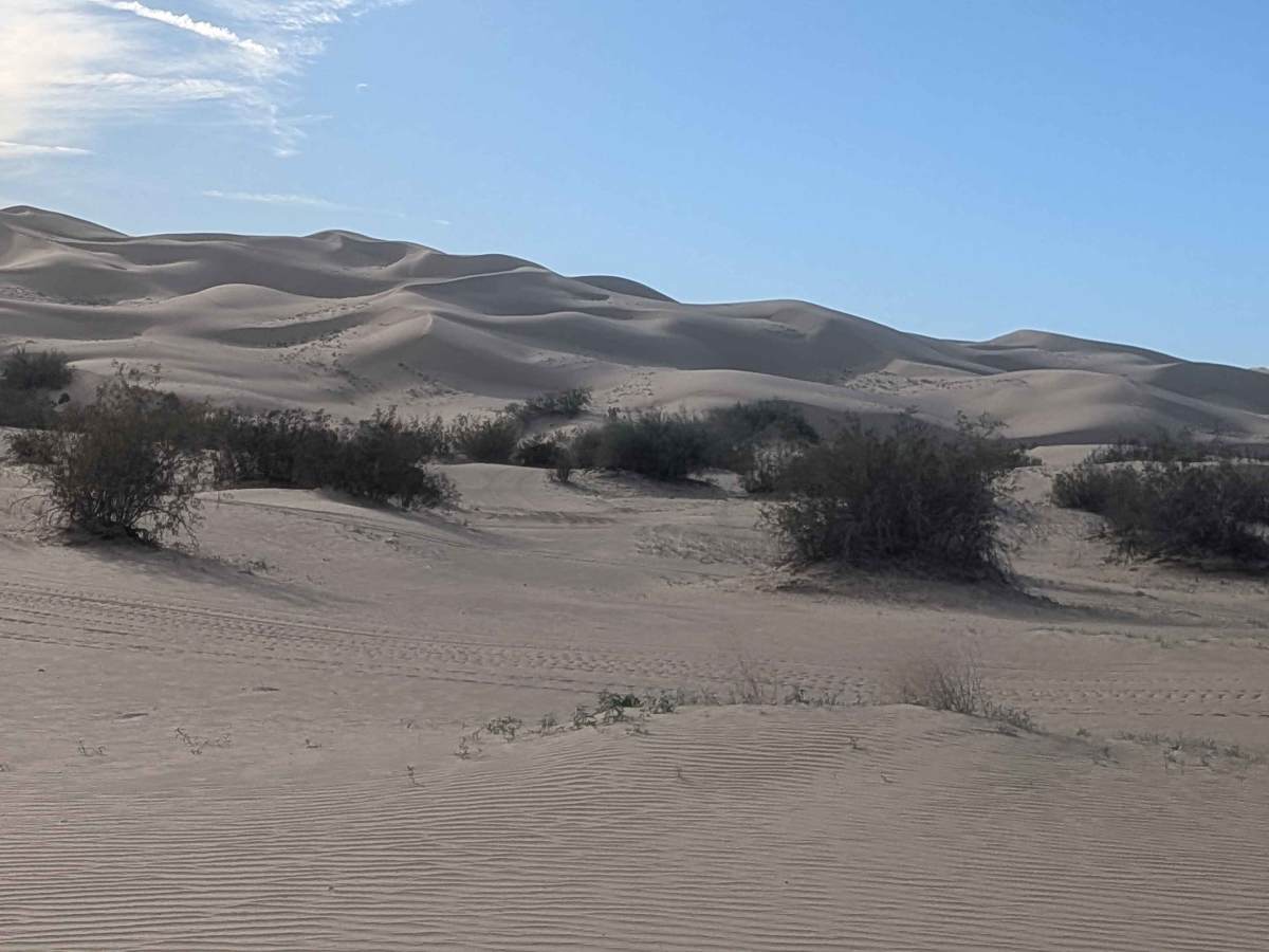 The Sand Highway trail photo
