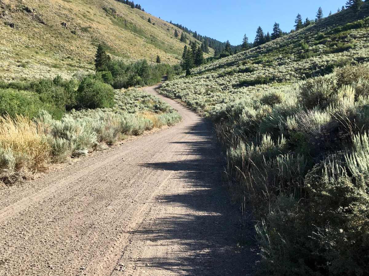 Corral Creek Road - FS 177 photo 4