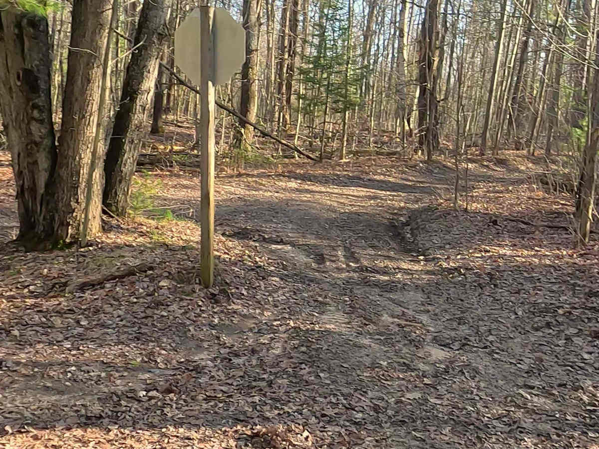 ORV H-57 : Mack Lake Motorized Trail photo 3