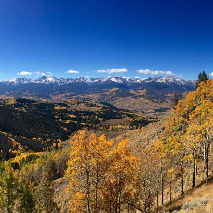 Near Acorn Creek Trail #71