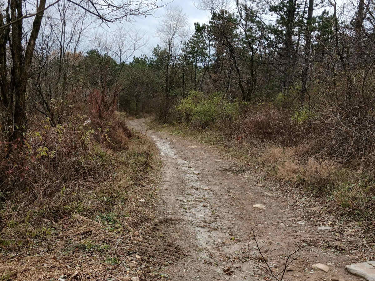 Trail 11 - Rock Run Recreation Area photo 4