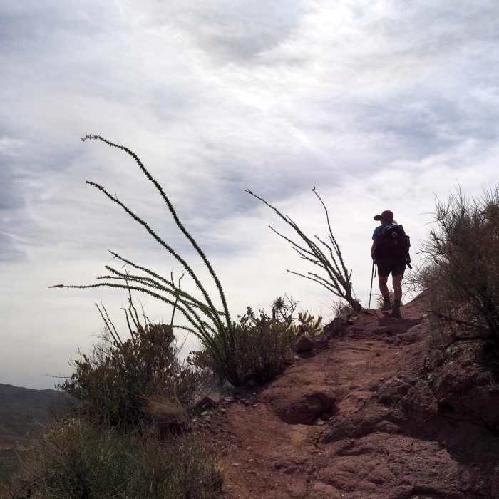 Along the Elephant Mountain Trail Near Elephant Mountain Trail