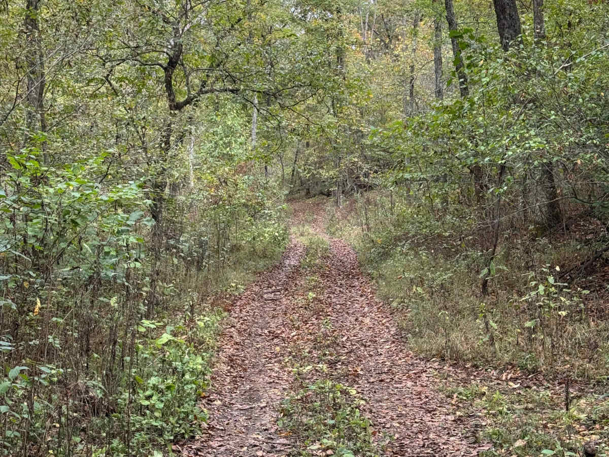 Ranger Smith photo 4