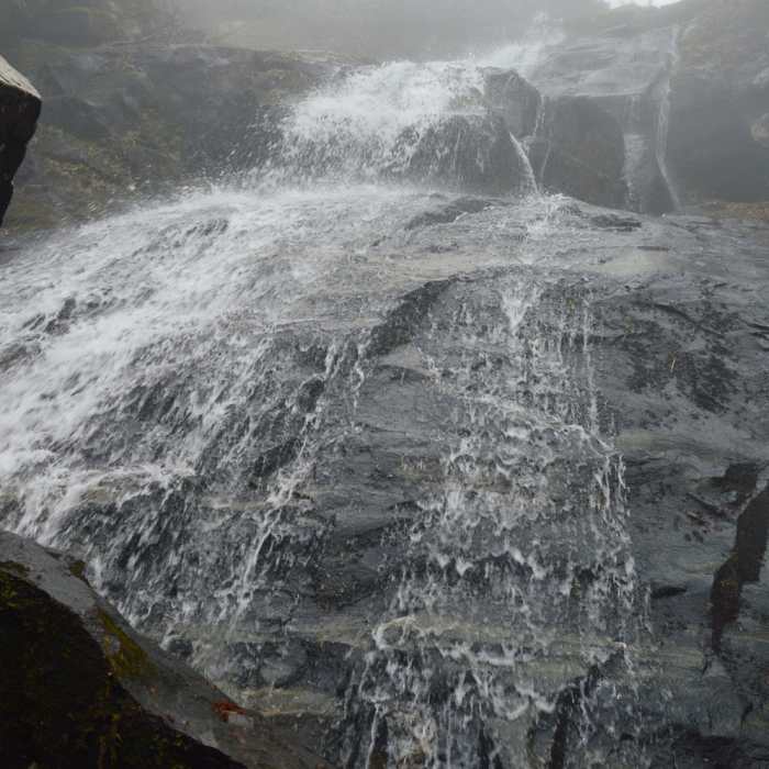First foggy hike for us. Very creepy as we literally only saw one person on the trail. But, there was cell signal at the falls! Facebook live! Near Hen Wallow Falls