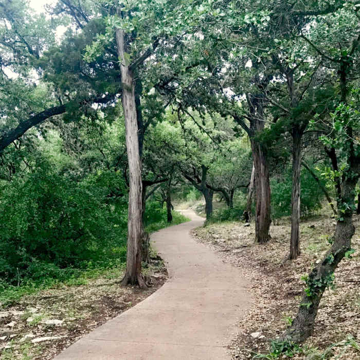 Lake Loop Trail Near Challenge Trail