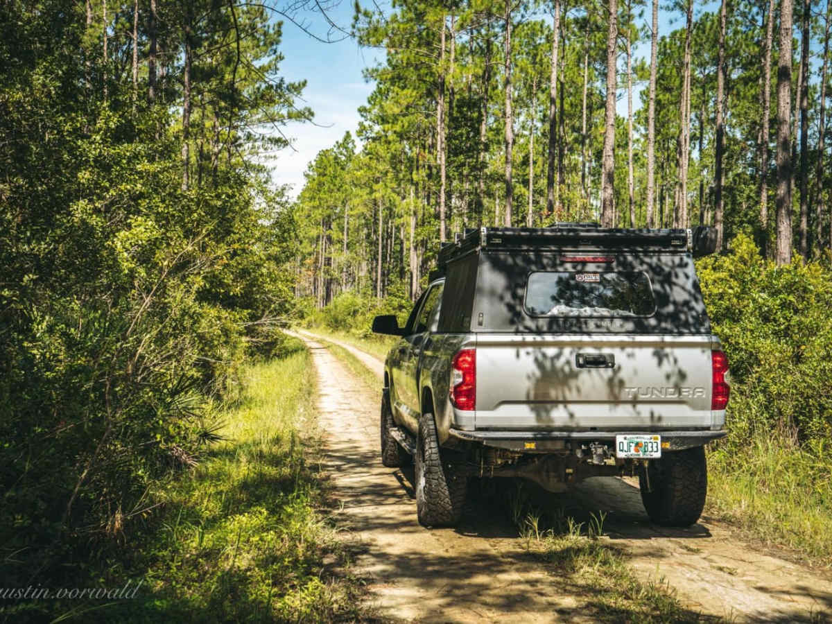 Four Creeks State Forest Main Road photo 5