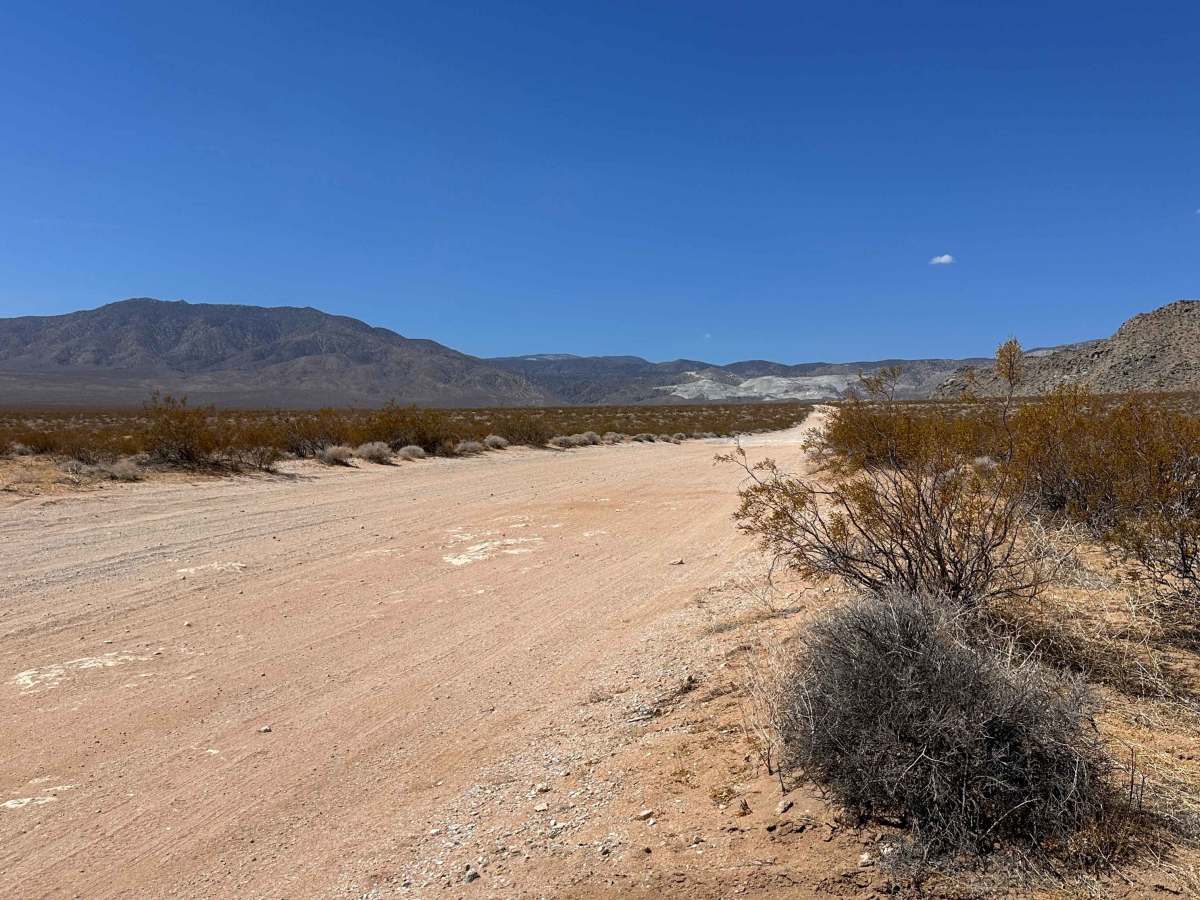 Lucky Strike Trail photo 6