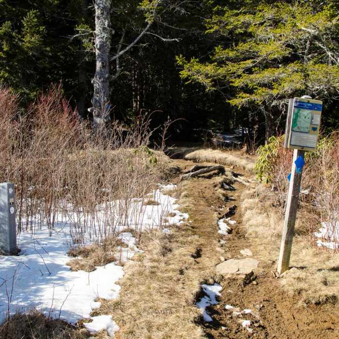 Near Mount Mitchell via Black Mountain Campground Near Mount Mitchell via Black Mountain Campground