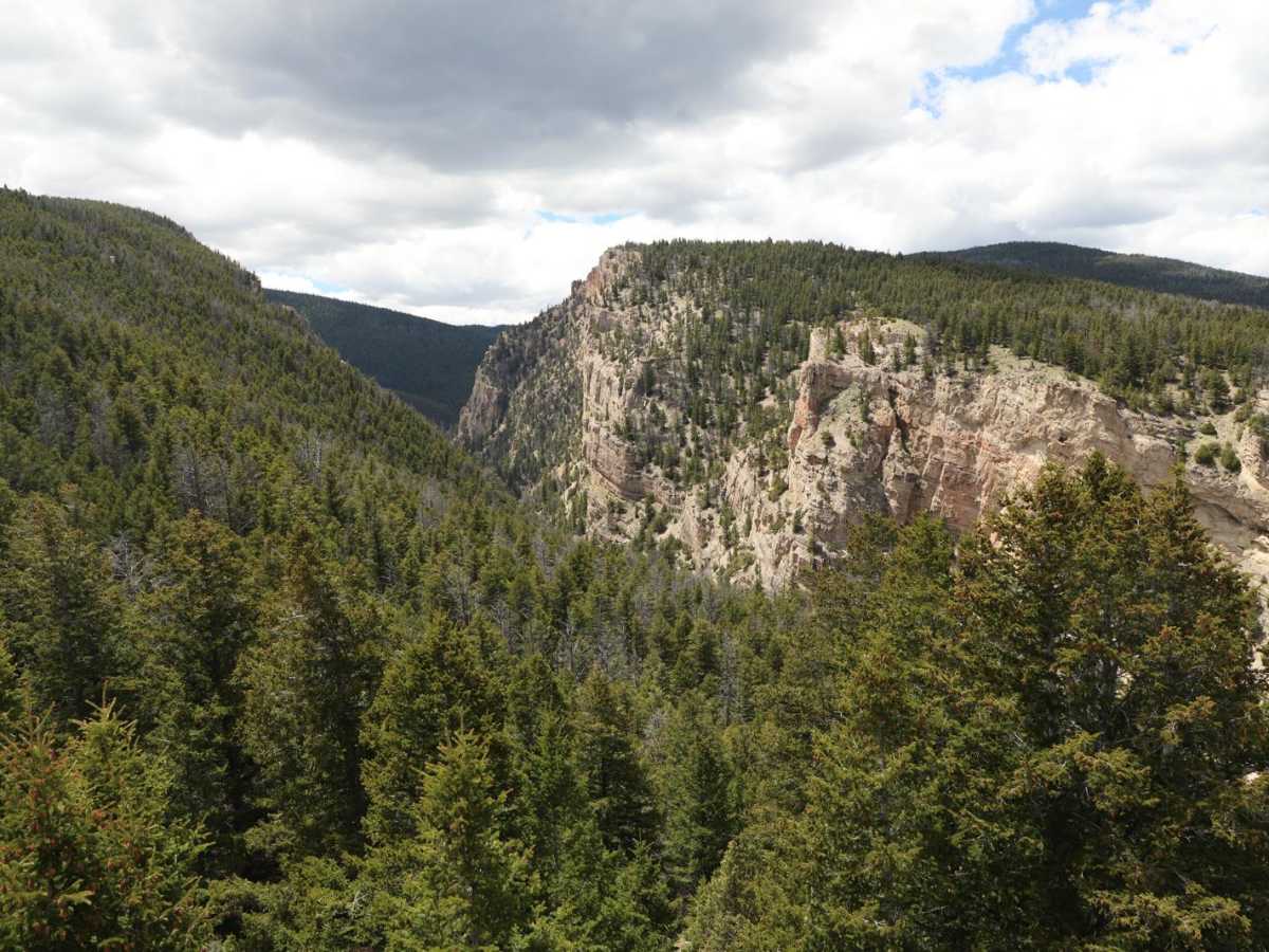 554 Wildcat and 528 Geyser Creek trail photo