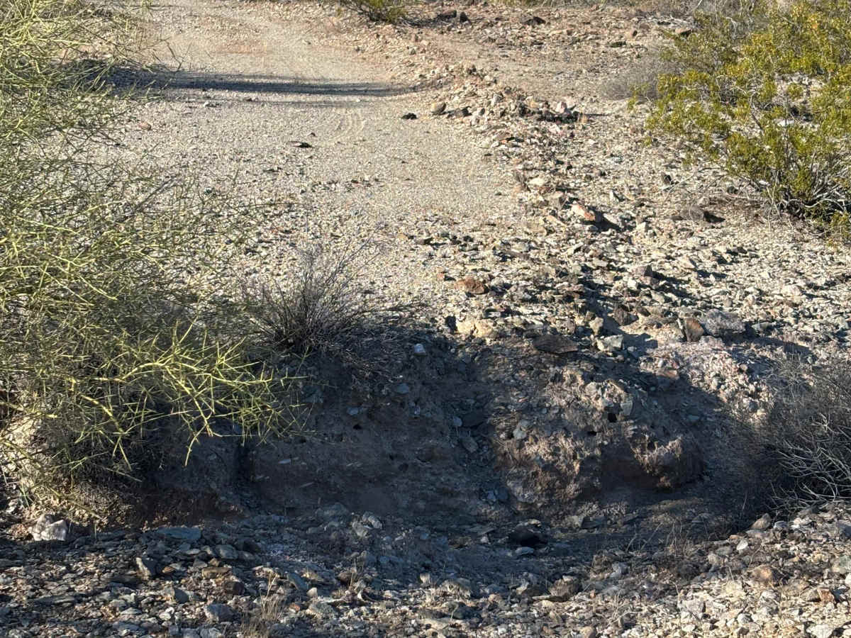 BLM 0129 photo 5