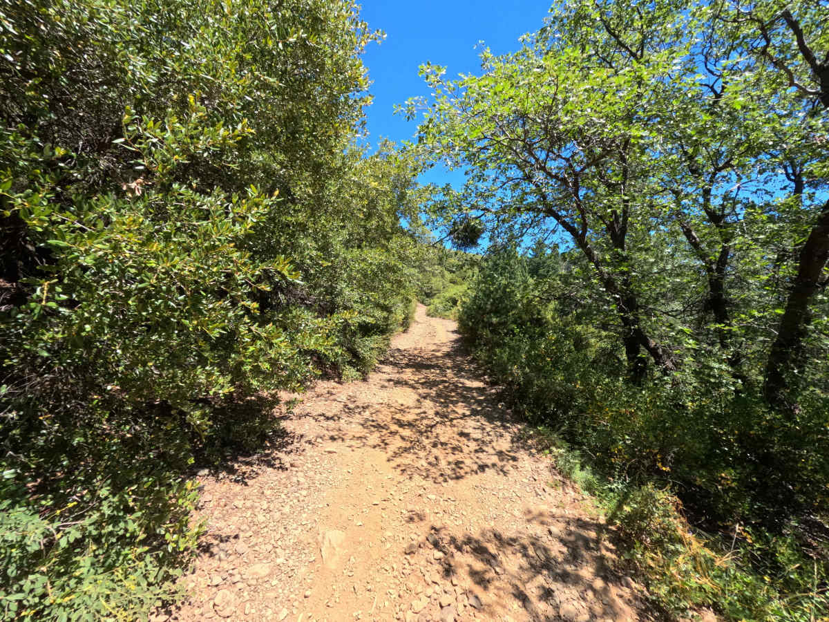 Butcher Ranch Road - FS 12E07 photo 4