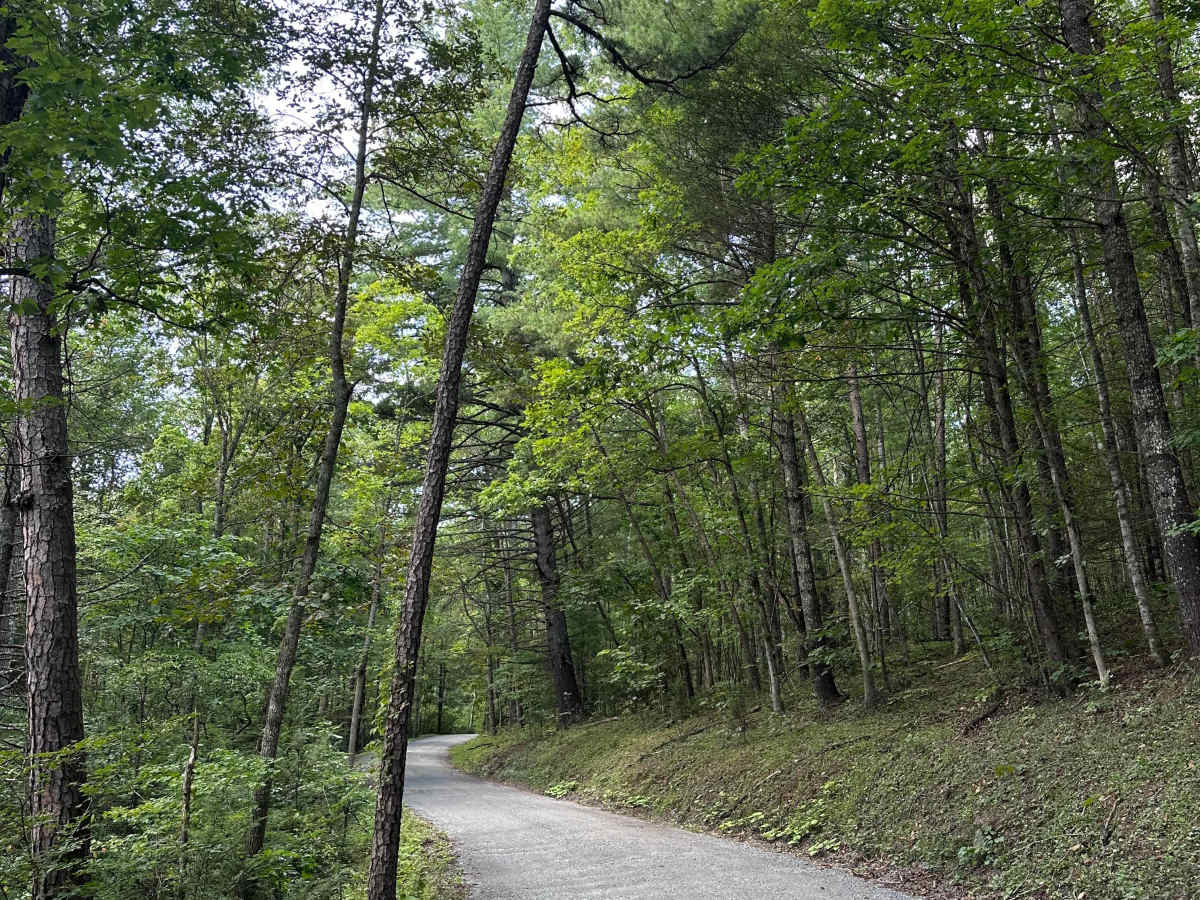 Mine Mountain photo 4