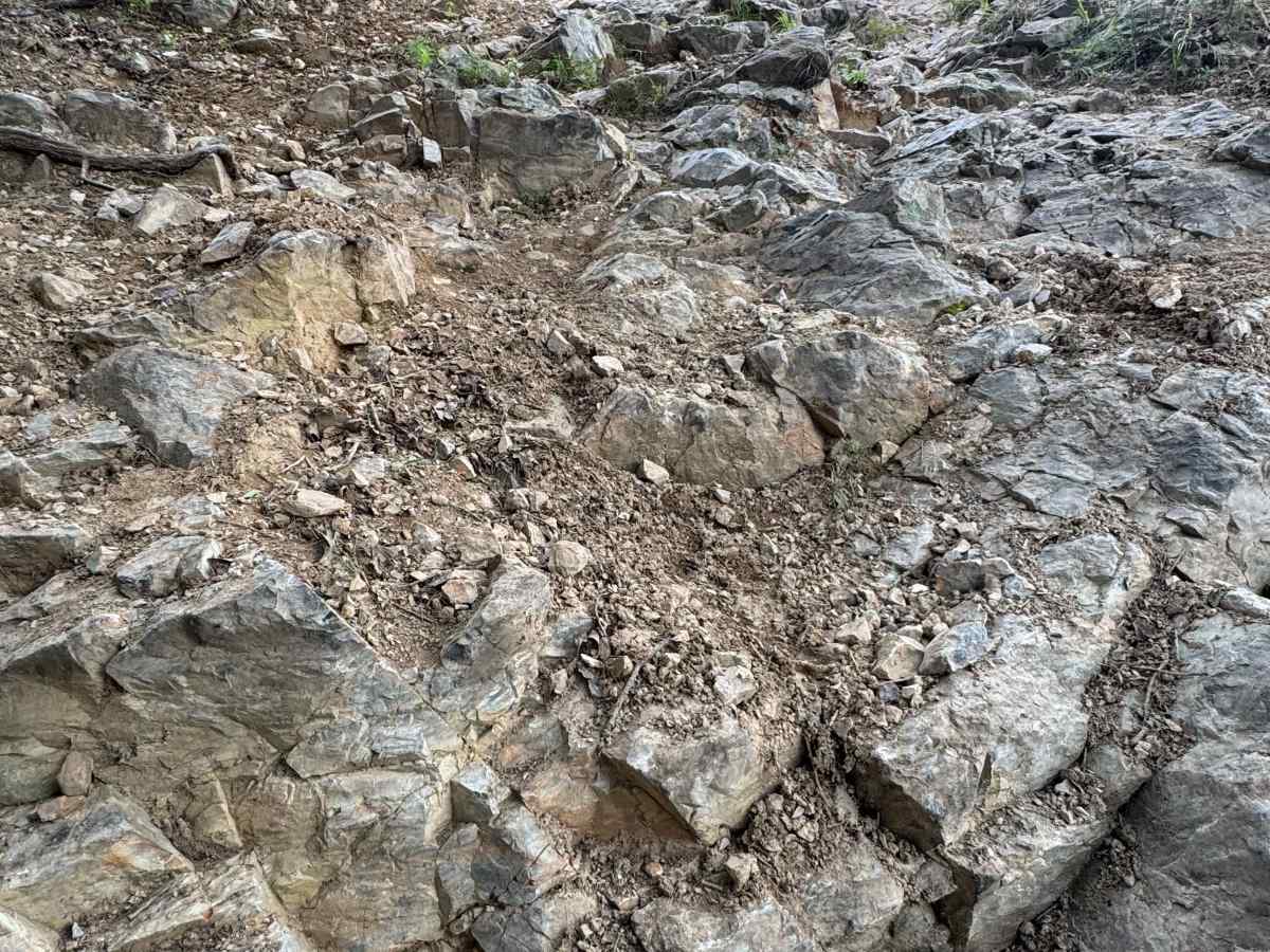 H19 Pinion Hill photo 4