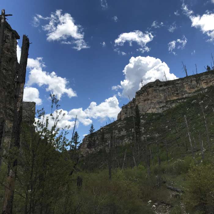 Looking back up at the canyon ridgetop, you get a sense of just how high these walls are. Near Hell Canyon Trail