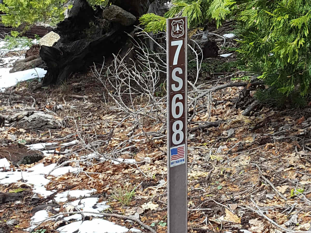 Pierce Mill - FS 7S68 trail photo