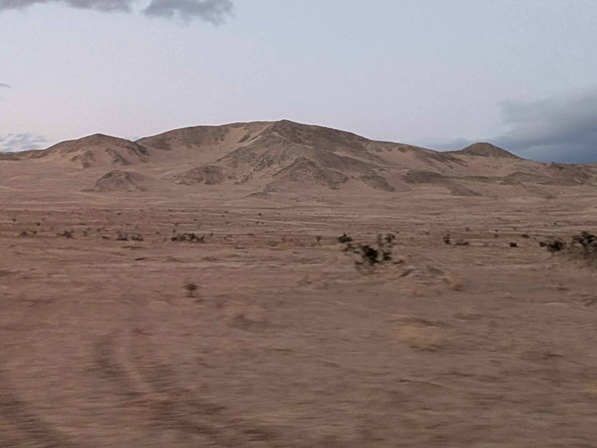 BLM 197 photo 4
