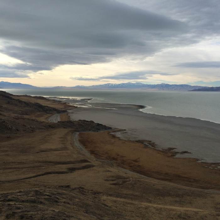 Near Elephant Head Trail