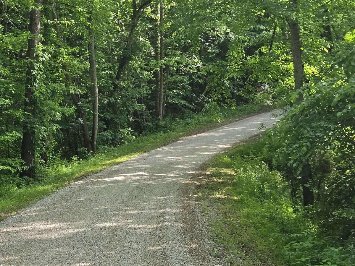 Jim Callahan Road photo 5