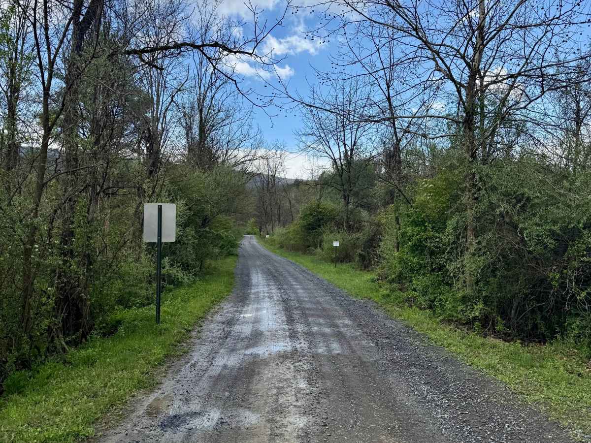 Martin Road trail photo