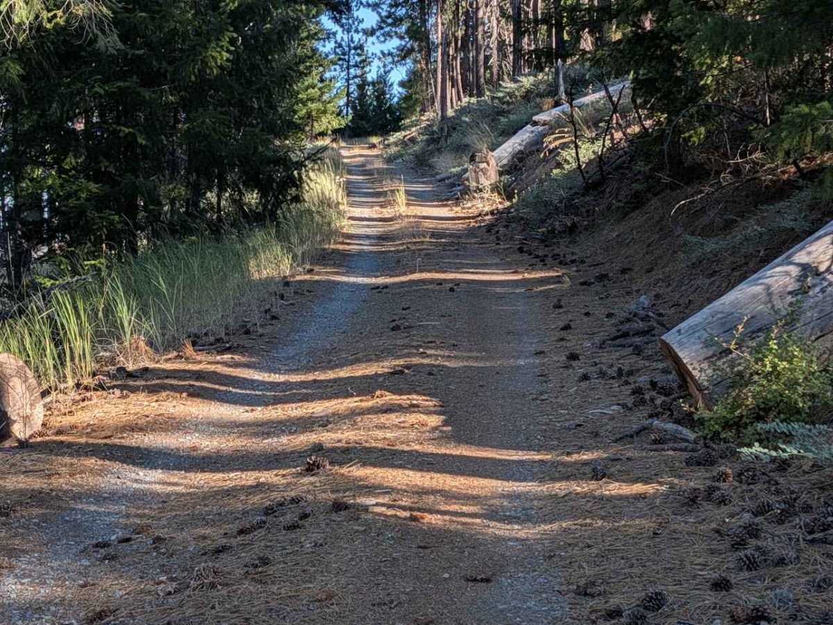  Midas Saddle Road - FS 30N16  photo 5