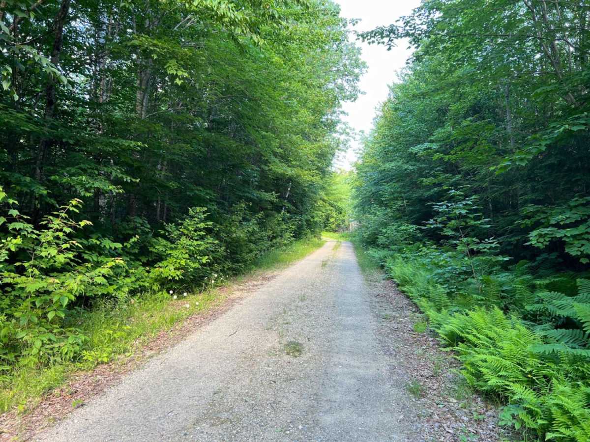 Mill Brook photo 6