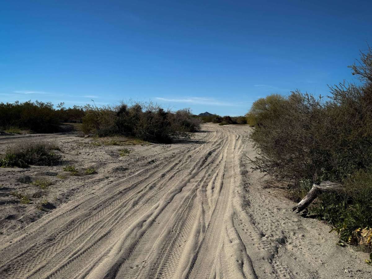Hs67l  trail photo