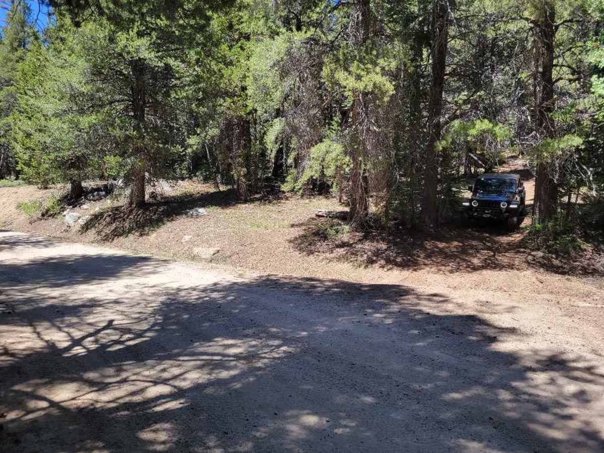 Pickett Peak Road 31053 photo 4