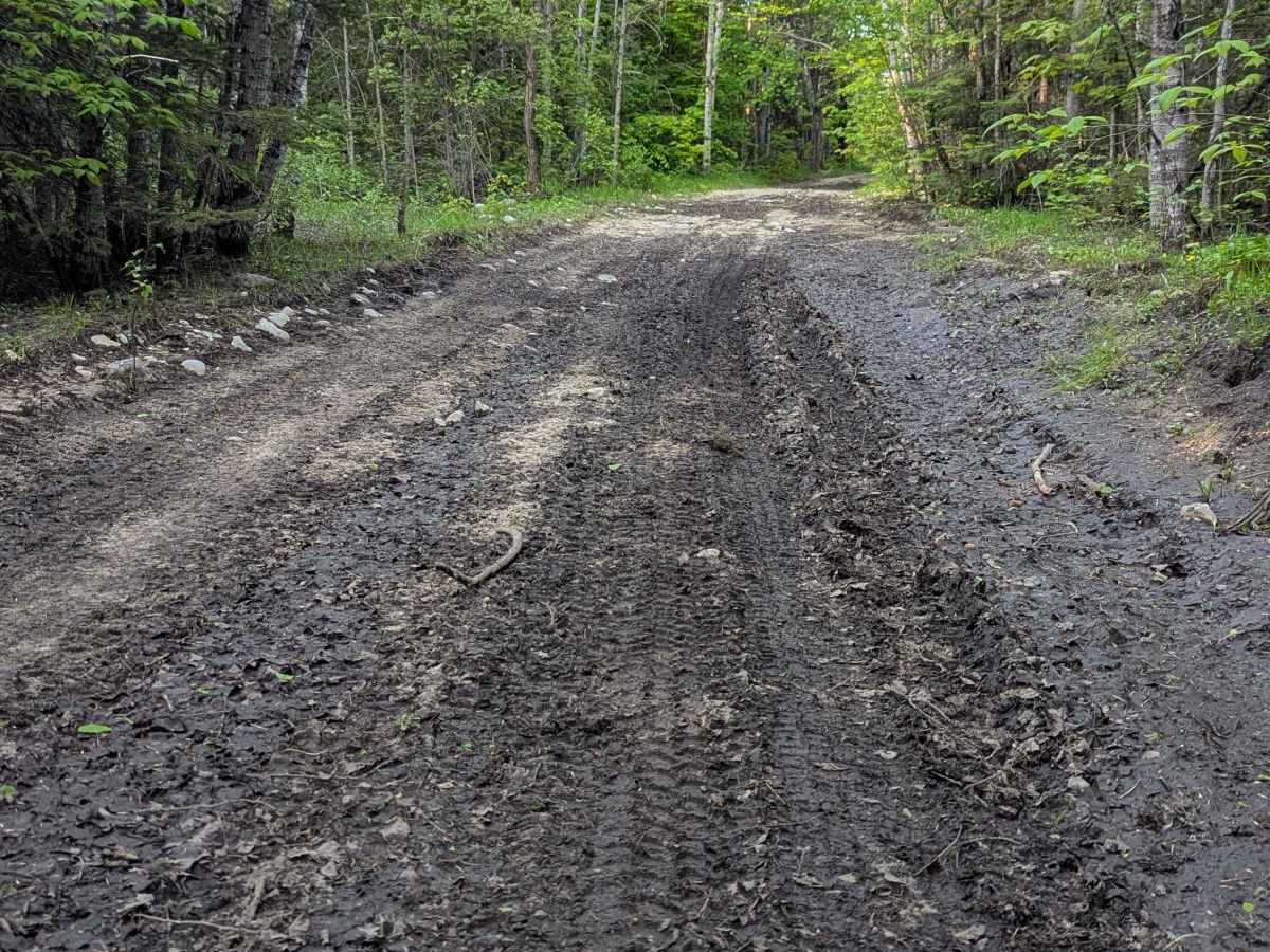 Norton Camp Truck Trail photo 2