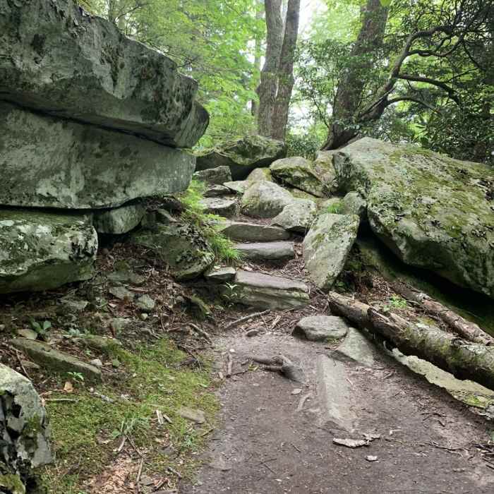 Elevated terrain with obstacles Near Tanawha Trail