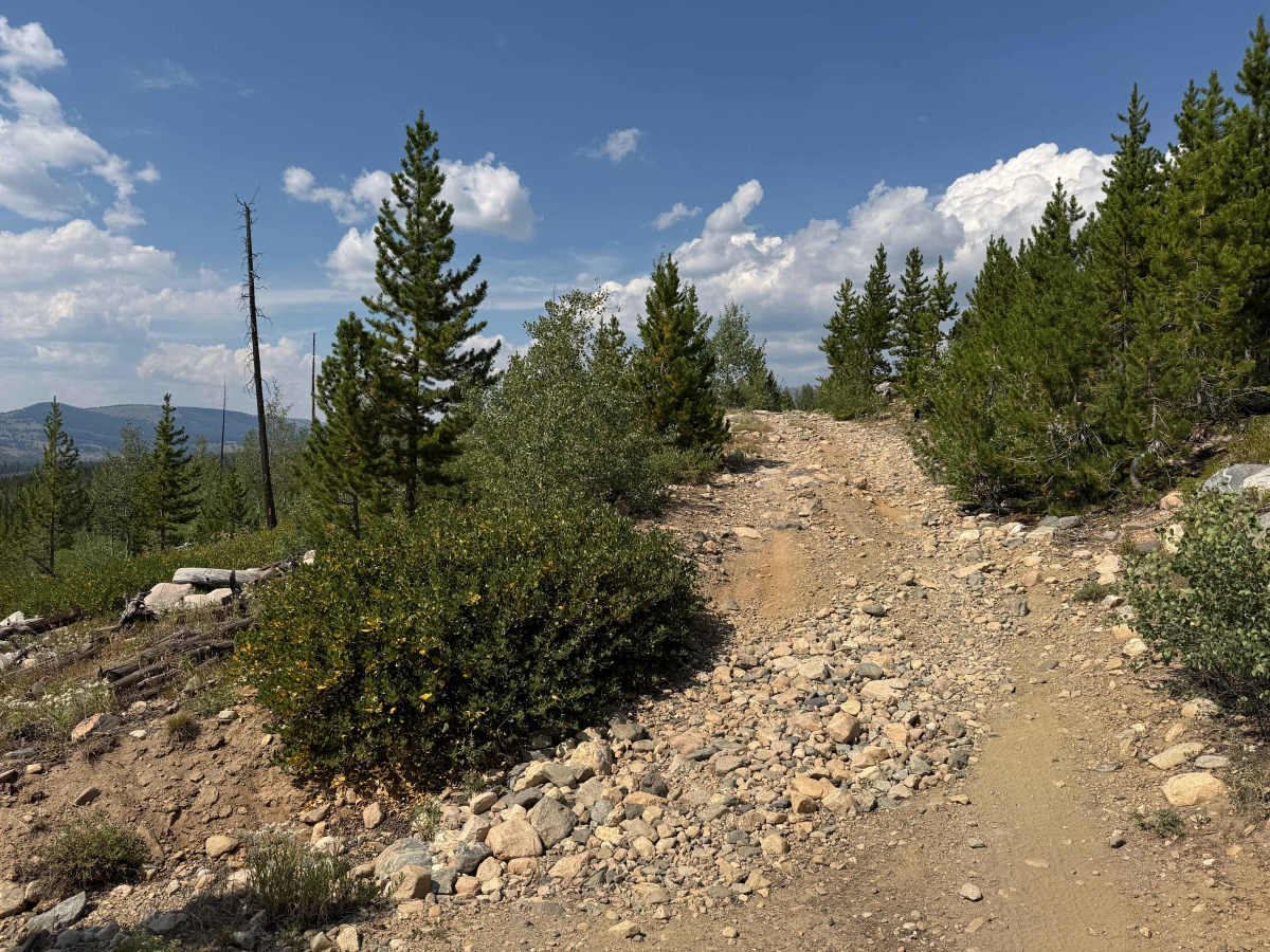 English Creek Road trail photo