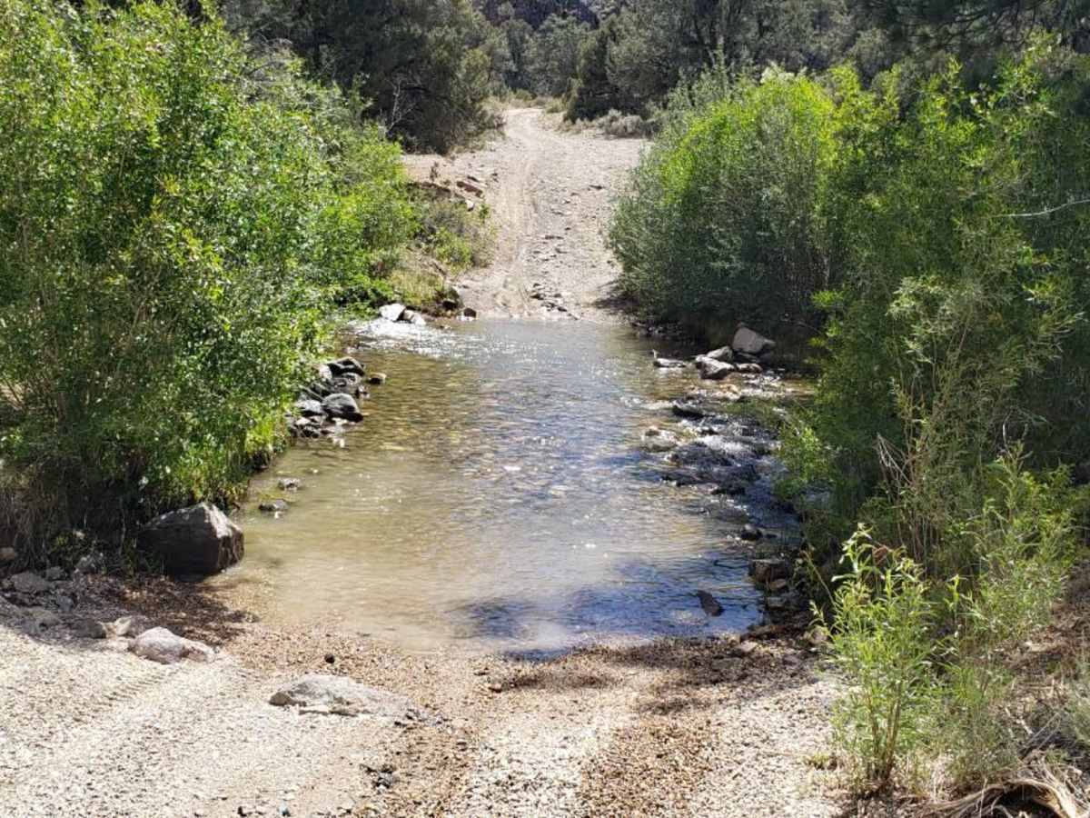 Desert Creek Loop photo 2
