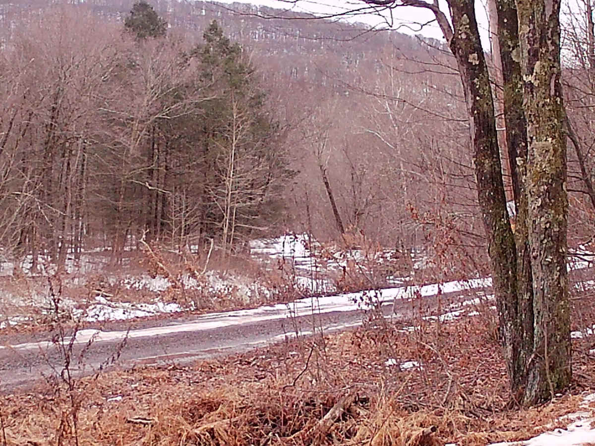 Railroad Grade photo 6